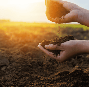 manifest-meaning-how-to-manifest-inner-energy-harmony