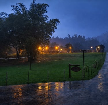 Illuminated eco-resort lodges at twilight with wet pathways and lush tropical forest scenery.