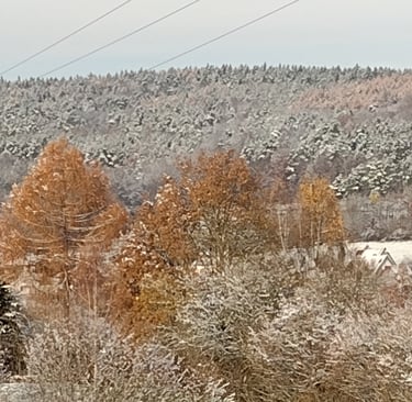 selbst im Winter, ein Traum zum Laufen