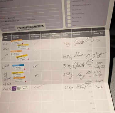 Revisiones veterinarias regulares a todas las mascotas.