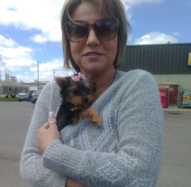 Recogida en el aeropuerto "Si"