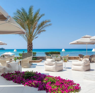 Luxury beach club Sani  white lounge seating, patio umbrellas, and palm trees overlooking the ocean.