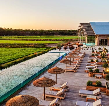 Luxury infinity pool and sun loungers overlooking green rice fields at a boutique resort in Comporta