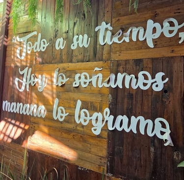 Frase inspiradora en español sobre una pared rústica de madera con plantas colgantes y luz natural.