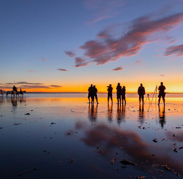 Photographers silhouetted against a golden sunrise in Camargue with white horses in the shallow water.