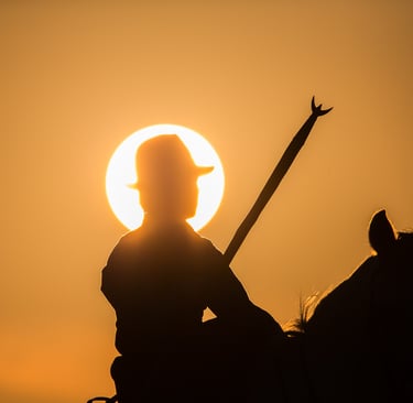 Silhouette of a cowboy on a horse holding a staff against a bright orange sunset sun.