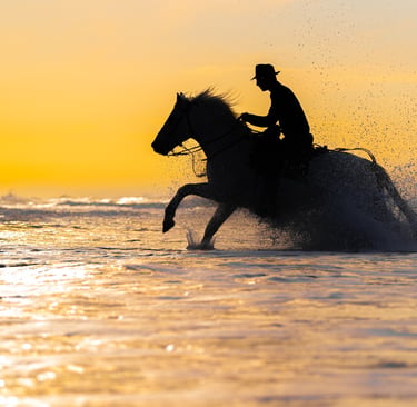 Silhouette of a gardian on a horse galloping through ocean waves at golden hour sunset.