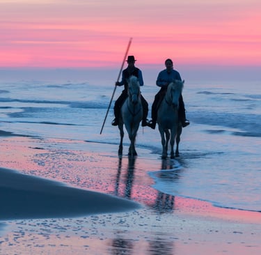 Two gardians riding white Camargue horses along the beach at sunrise under a pink and blue sky.