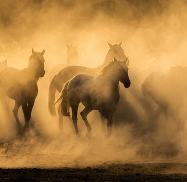A herd of wild horses galloping through a golden dust cloud at sunset.