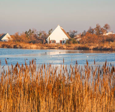 White traditional cottage by a calm blue lake with golden reeds in Camargue, France.