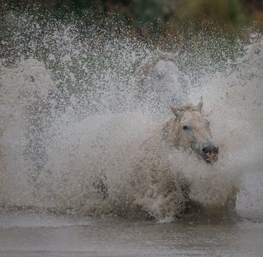 A powerful white horse gallops through a river, creating a dramatic water splash.