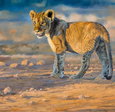 Oil painting of a young Lion Cub in the warm evening light in Etosha Namibia
