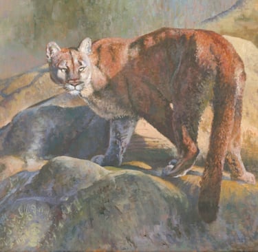 Oil painting of a Cougar or Mountain Lion high in the mountains of America