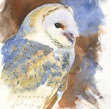 Watercolour portrait of a European Barn Owl, loose