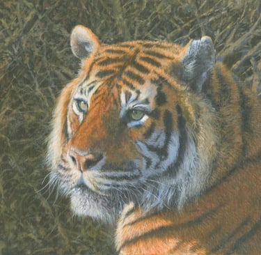 In oil portrait  of a Tiger with twigs behind 