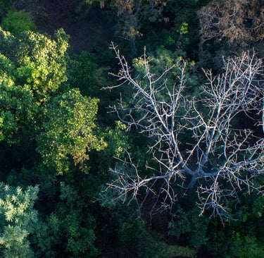 Aerial photoshoot on assignment for tourism organization India