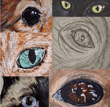 A Montage of eyes that Siobhan Guthrie has painted or drawn