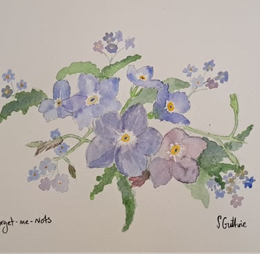 Forget me not watercolour on hot pressed watercolour paper