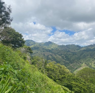 Mountain landscape in Jarabacoa Dominican Republic with valleys forests and scenic views