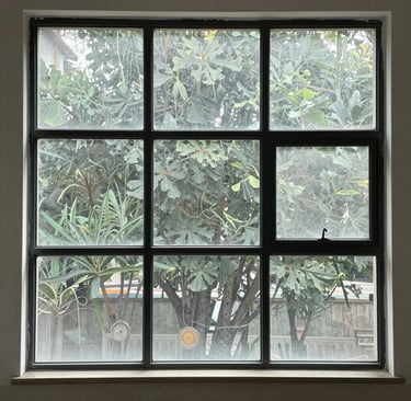 Before and after image of a residential home's front windows showing clear, streak-free glass.