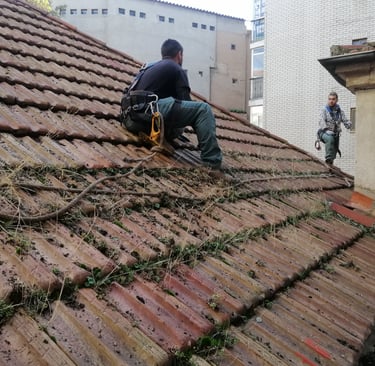 Limpieza de Tejados Palencia