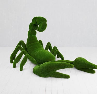 Turf Scorpion for rent for Quinceañera