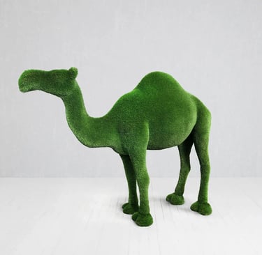 turf camel for parties in Palm Beach