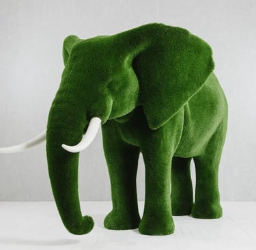 turf elephant for rent for sweet 16's pompano beach