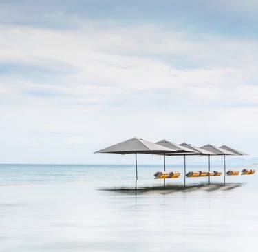 umbrellas and umbrella umbrellas are lined up in a row