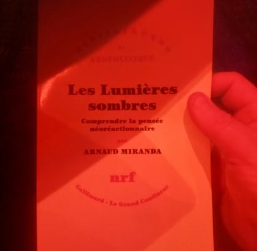Couverture du livre Les lumières sombres d'Arnaud Miranda, éclairé par une lumière sombre