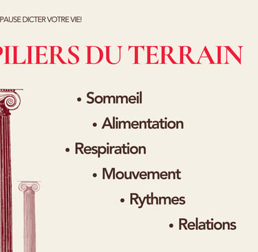 Les 6 piliers du terrain : sommeil, alimentation, respiration, mouvement, rythmes, relations