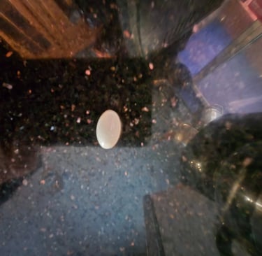 a medication delivered in a capsule made from animal-derived gelatin and glycerin.