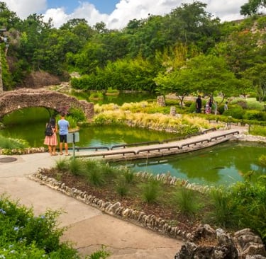 House Demo Alamo Heights San Antonio TX
