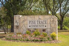 Mobile Home Demolition Pine Trace Houston TX