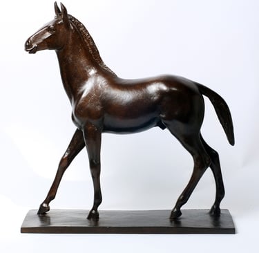 Armand Petersen - Cheval