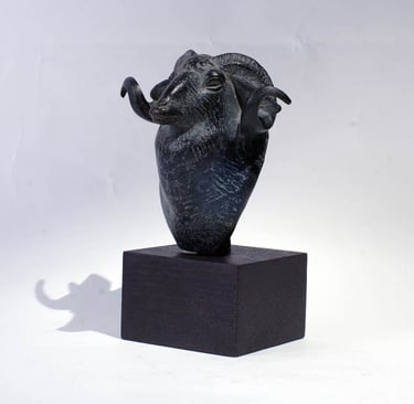 Armand Petersen - Tête de Bélier