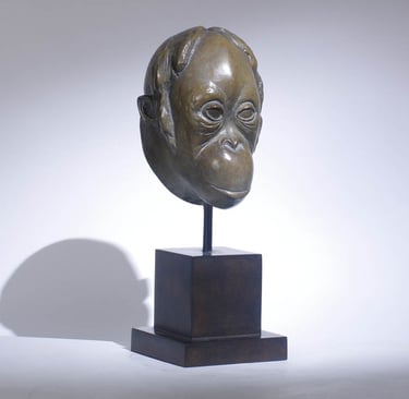 Armand Petersen - Tête de Singe