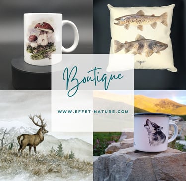 Présentation des produits dérivés des œuvres de Walter Arlaud. Boutique Effet Nature