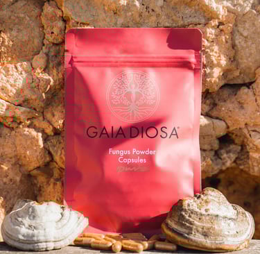 Gaia Diosa Zunderschwamm Kapseln pure