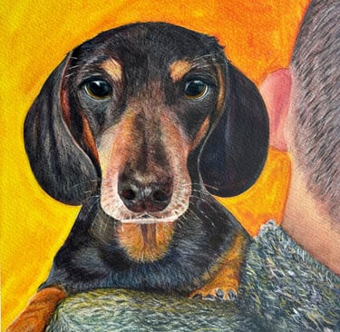 Watercolour of a Mini Dachshund dog looking over man's shoulder