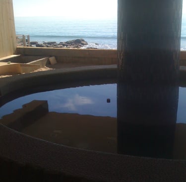 a oceanside pool with a center column supporting the home 