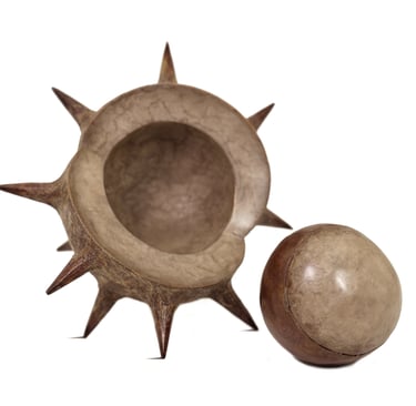 Miniature Bronze Sculpture of Conker / Horse Chestnut by contemporary sculptor Mark Richard Hall