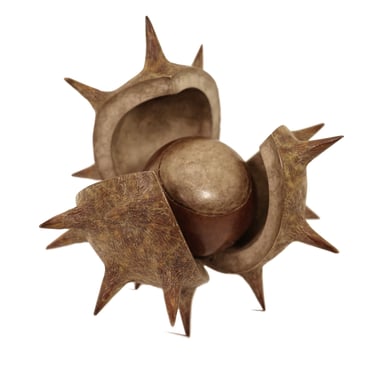 Bronze Sculpture Horse Chestnut Conker By Mark Richard Hall Sculptor