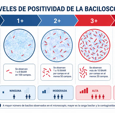 Infografía con la escala de positividad de la baciloscopía de tuberculosis desde negativo hasta 4+