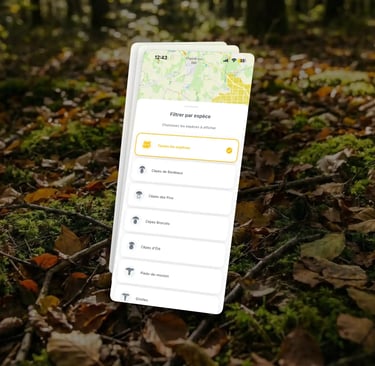 mapignon filtre champignon