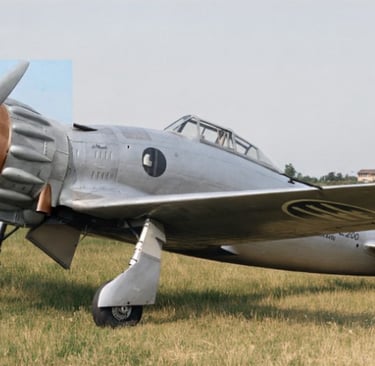 Macchi "MC.200 Saetta", Fighter