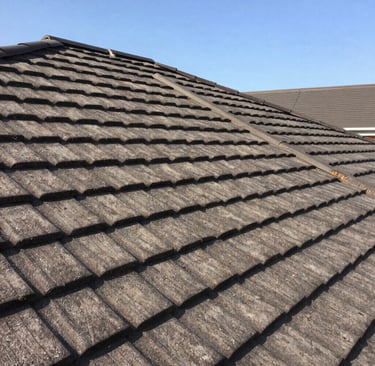 a label on a green shirt that says today