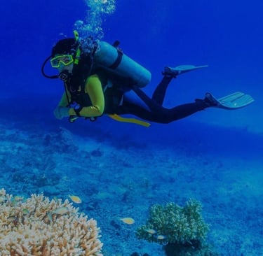 scuba diving mirissa