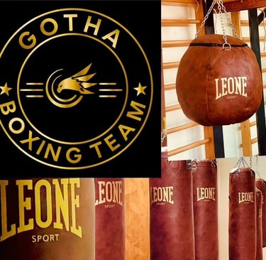 loghi della boxe Gotha