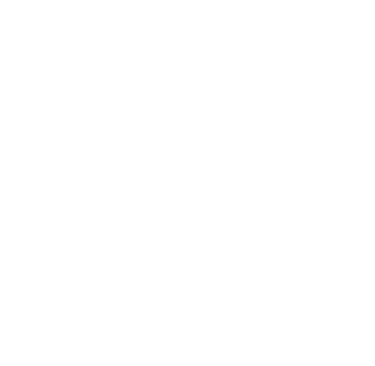 Obert Ntuli Inc Logo Icon